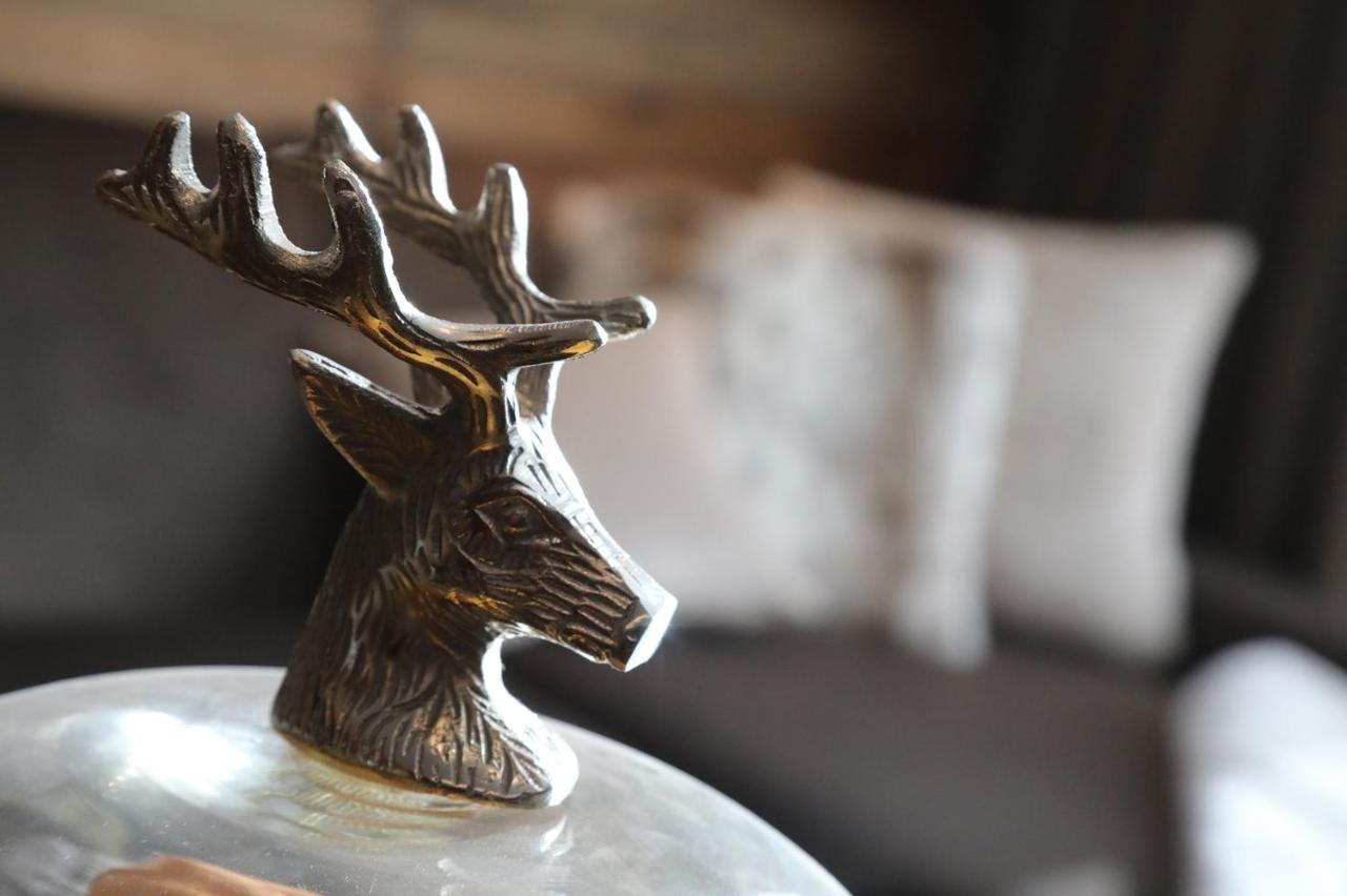 Chalet Blanc Breuil-Cervinia Dış mekan fotoğraf